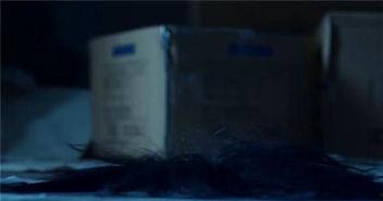 娱乐吃瓜最新事件直播视频