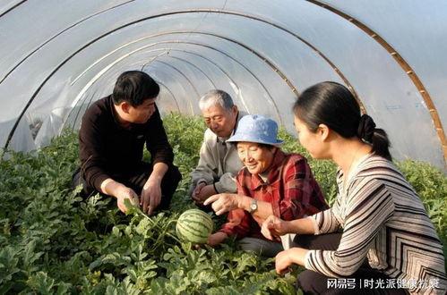 哪里都有中国人娱乐吃瓜