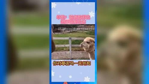 吃瓜娱乐通,吃瓜娱乐通带你揭秘幕后真相